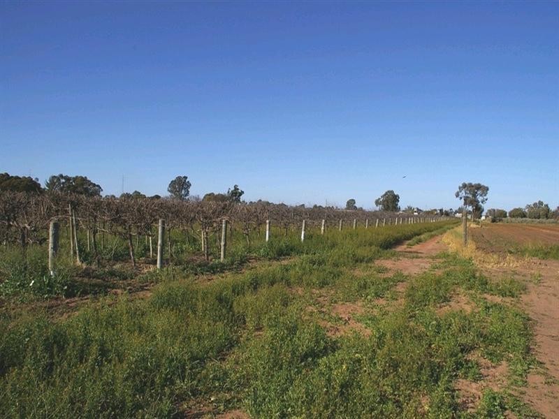 Lot 620 Ontario Street, Renmark SA 5341