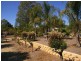 1 Shepherd Drive, Paringa SA 5340
