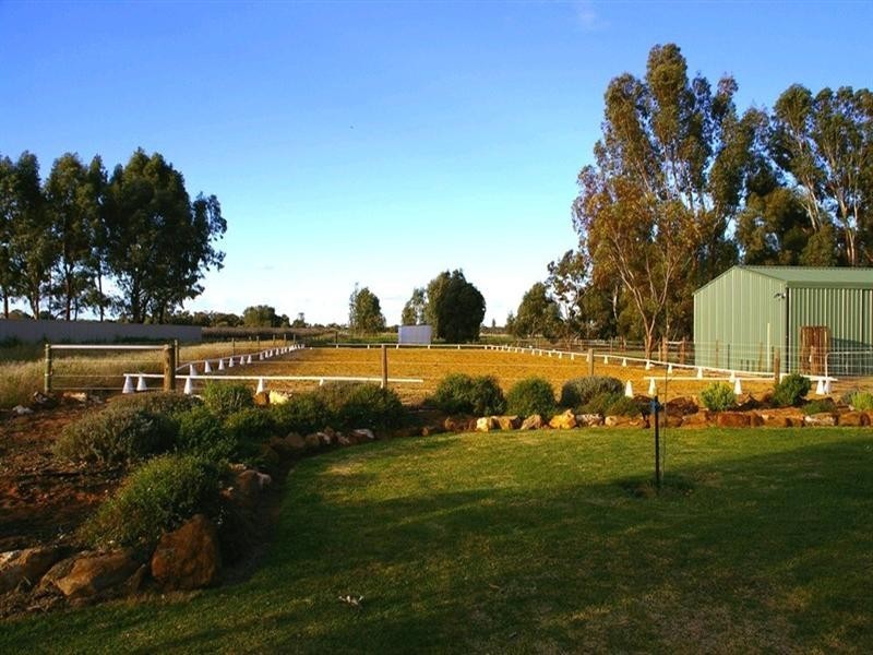 163 Twentysixth Street, Renmark SA 5341