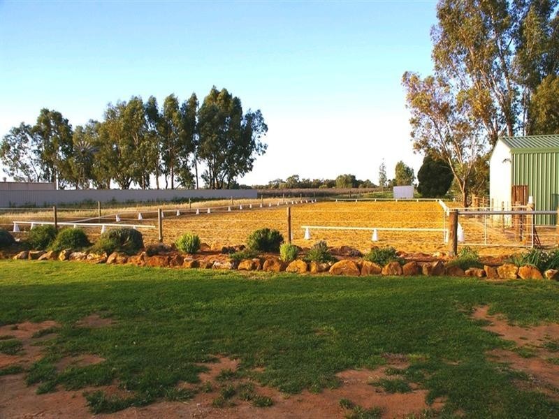 163 Twentysixth Street, Renmark SA 5341