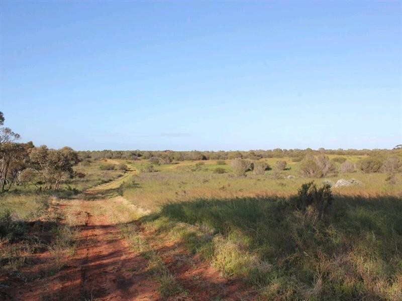 76 Cuttle Street, Renmark SA 5341