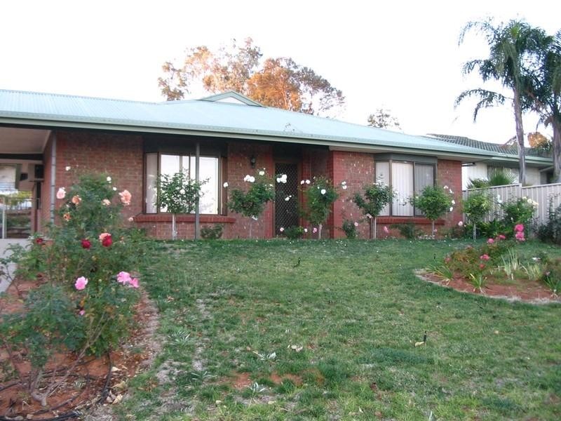3 Dorothy Avenue, Paringa SA 5340