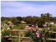 15 Murtho Road, Paringa SA 5340