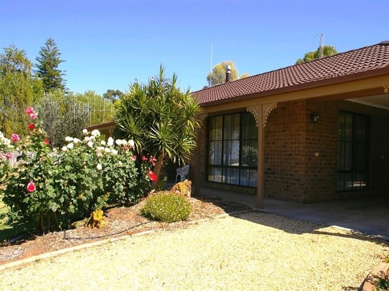 31 Riverview Drive, Paringa SA 5340