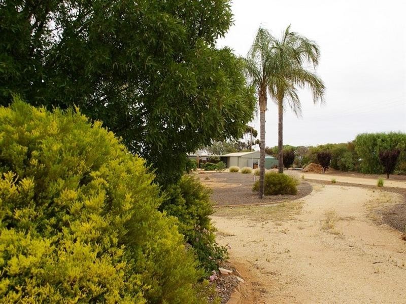 53 Murtho Road, Paringa SA 5340