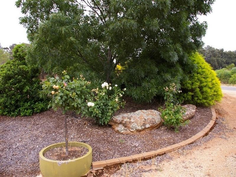 53 Murtho Road, Paringa SA 5340