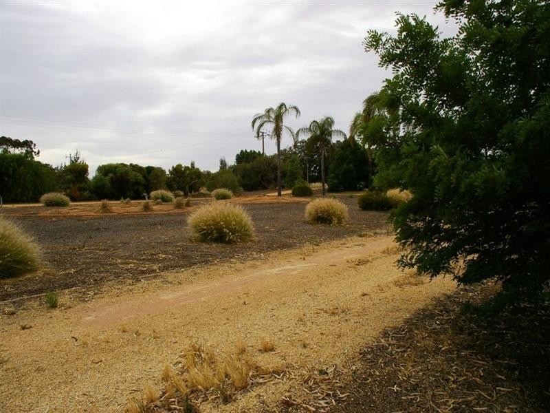 53 Murtho Road, Paringa SA 5340