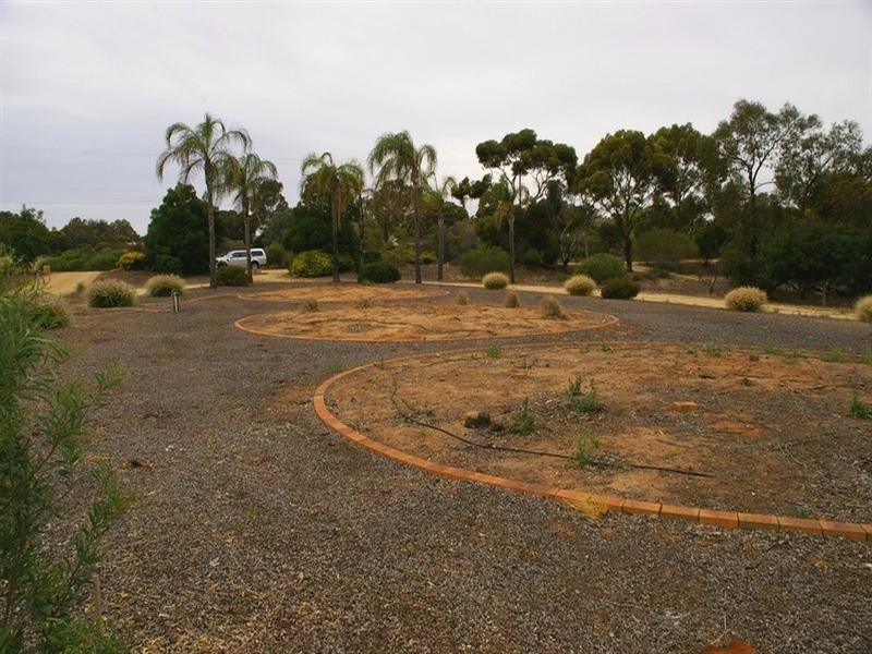 53 Murtho Road, Paringa SA 5340