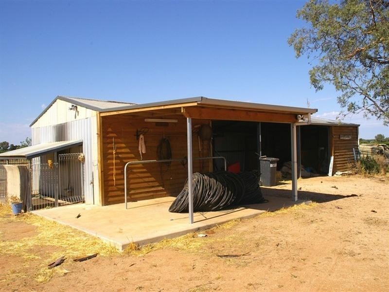 74 Arumpo Street, Renmark SA 5341