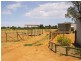 74 Arumpo Street, Renmark SA 5341