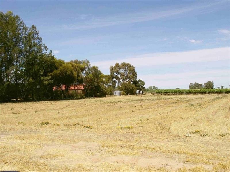 Lot 101 Ral Ral Avenue, Renmark SA 5341