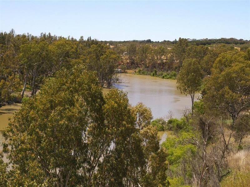 1513 Murtho Road, Paringa SA 5340