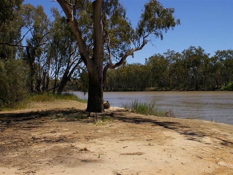 1513 Murtho Road, Paringa SA 5340