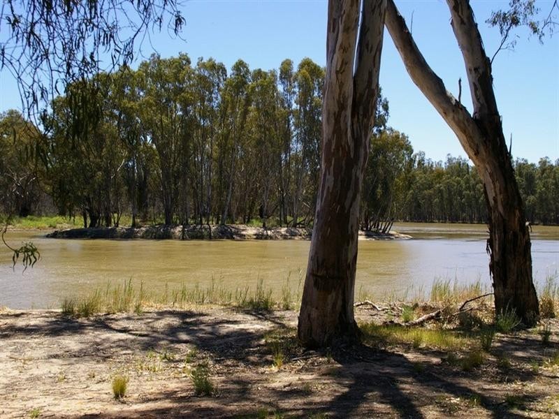 1513 Murtho Road, Paringa SA 5340