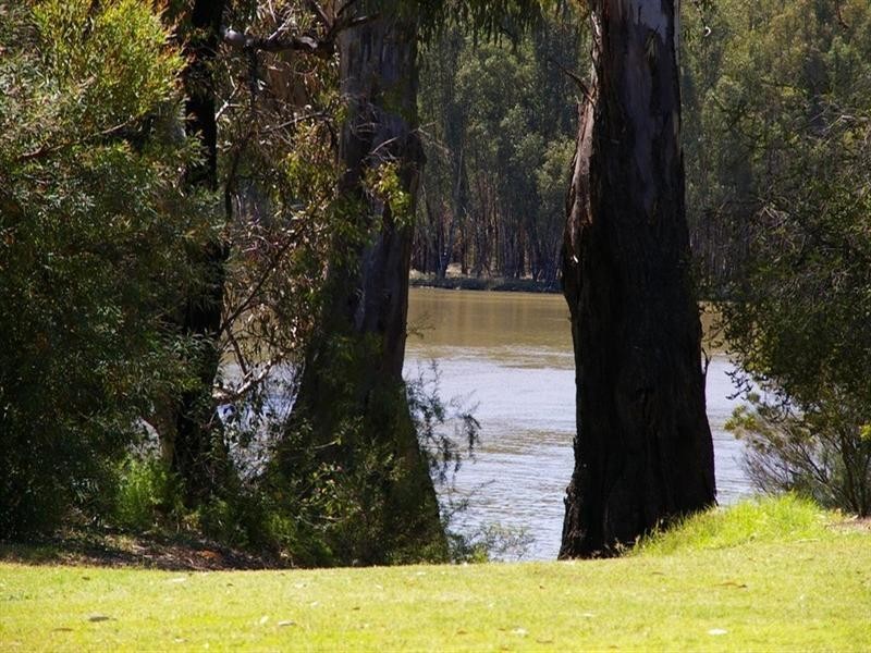 1513 Murtho Road, Paringa SA 5340