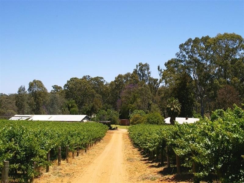 1513 Murtho Road, Paringa SA 5340