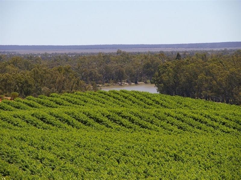 1513 Murtho Road, Paringa SA 5340