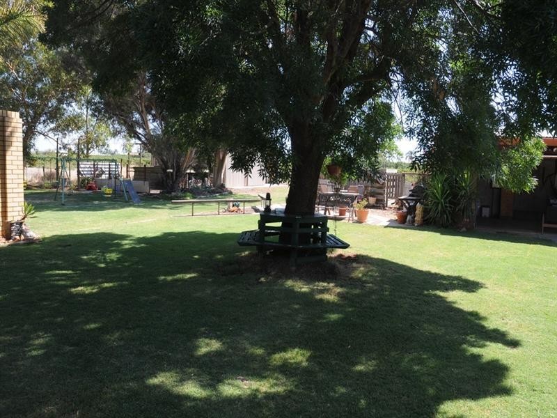 176 Seventh Street, Renmark SA 5341
