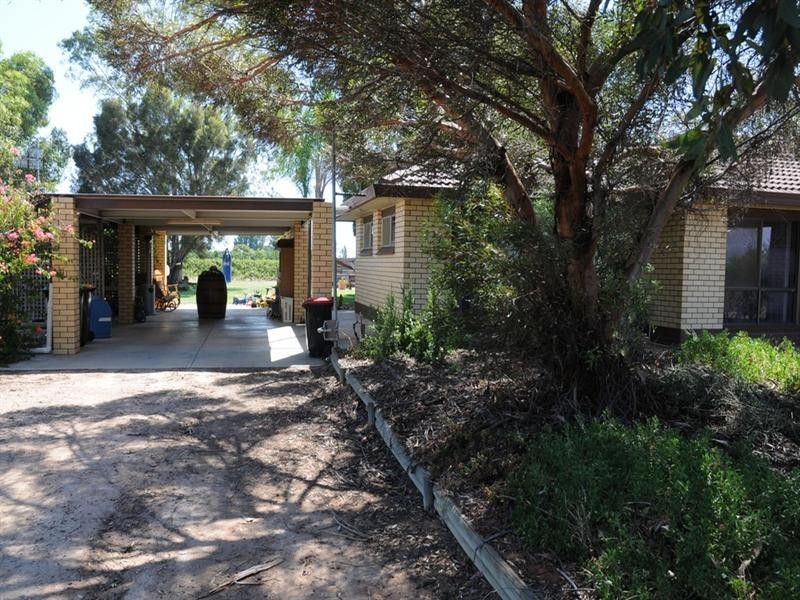 176 Seventh Street, Renmark SA 5341