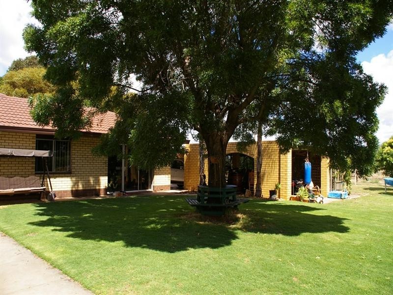 176 Seventh Street, Renmark SA 5341