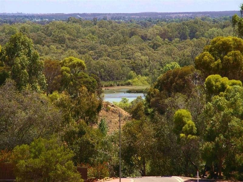 29 Shepherd Drive, Paringa SA 5340
