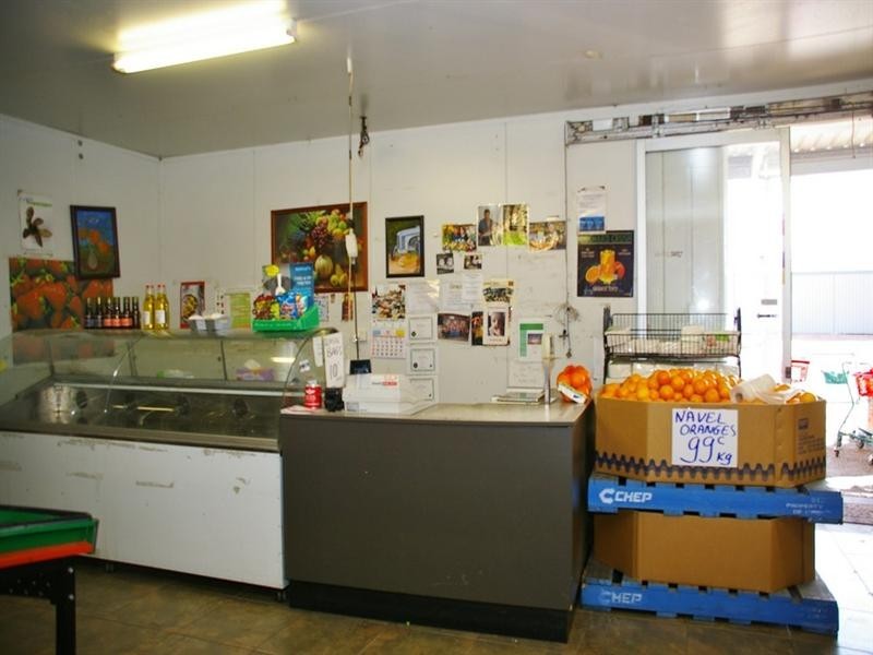 237 Arumpo Street, Renmark SA 5341