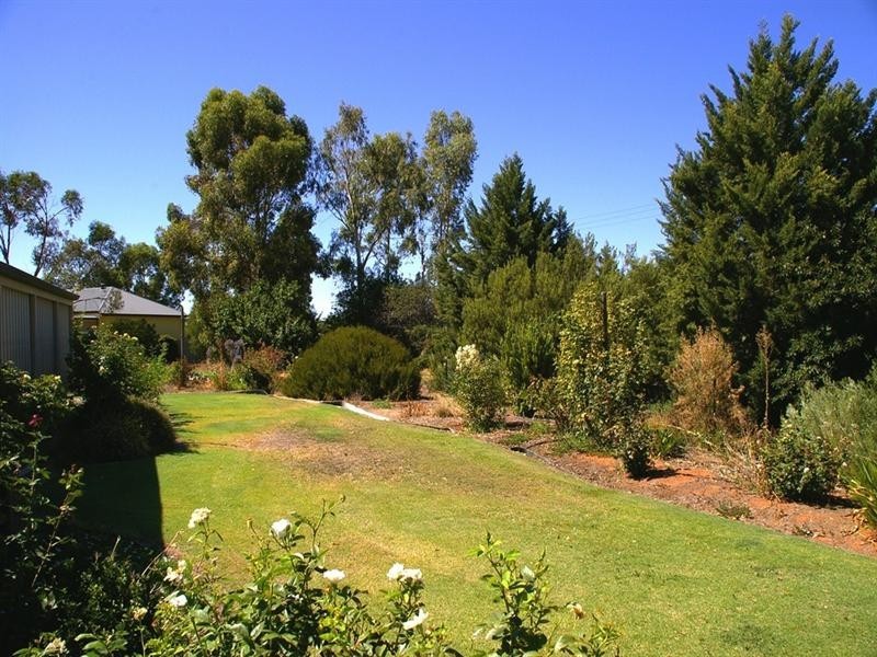 120 Seventh Street, Renmark SA 5341