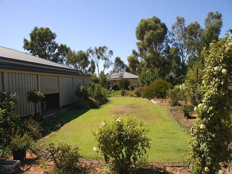 120 Seventh Street, Renmark SA 5341