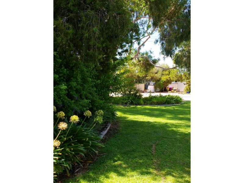 17 Twentyfirst Street, Renmark SA 5341