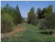 543 Kulkyne Street, Renmark SA 5341