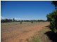 543 Kulkyne Street, Renmark SA 5341