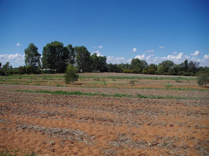 543 Kulkyne Street, Renmark SA 5341