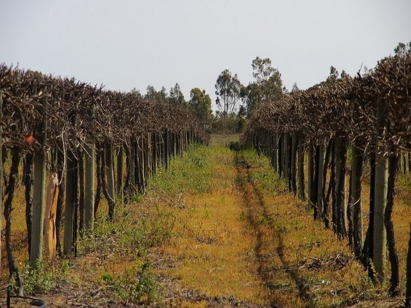 225 Gurra Road, Berri SA 5343