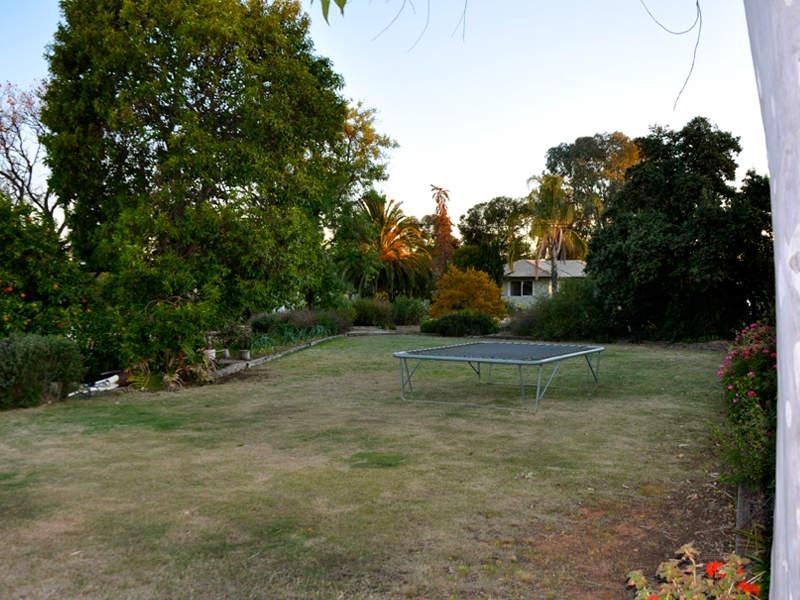 2 Myall Street, Renmark SA 5341