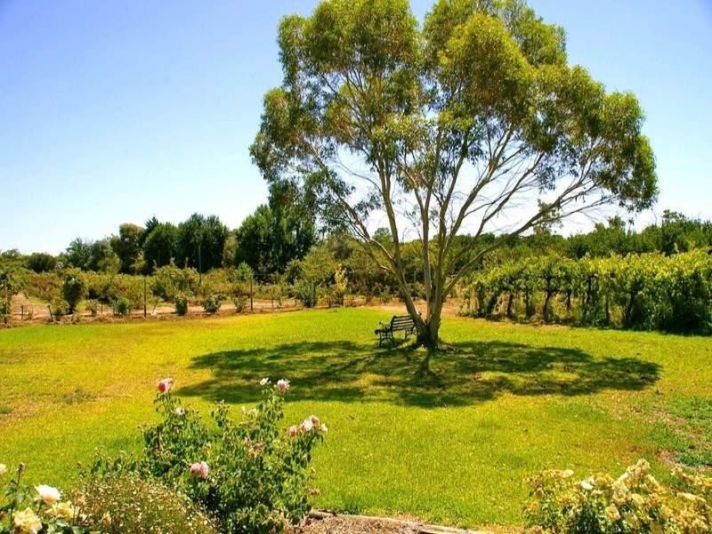 3 Twentyfourth Street, Renmark SA 5341