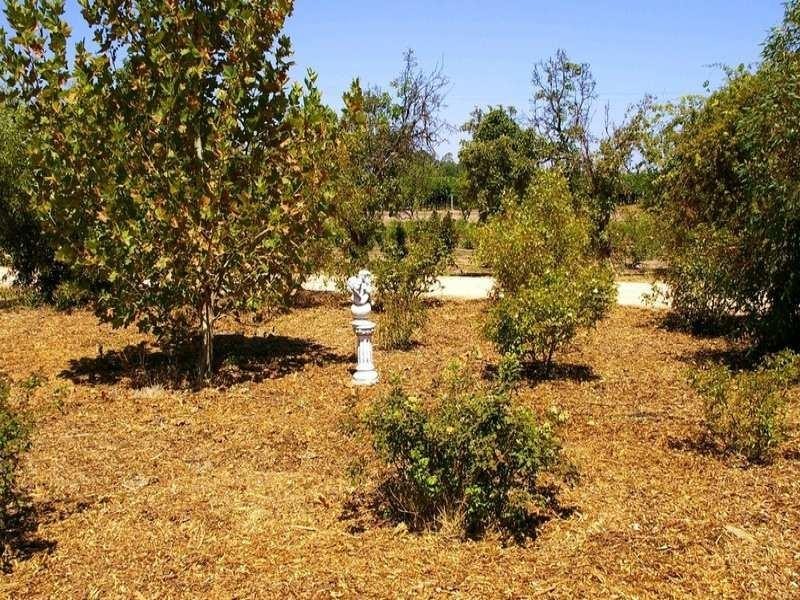 3 Twentyfourth Street, Renmark SA 5341