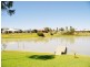 4 Cocos Place, Renmark SA 5341