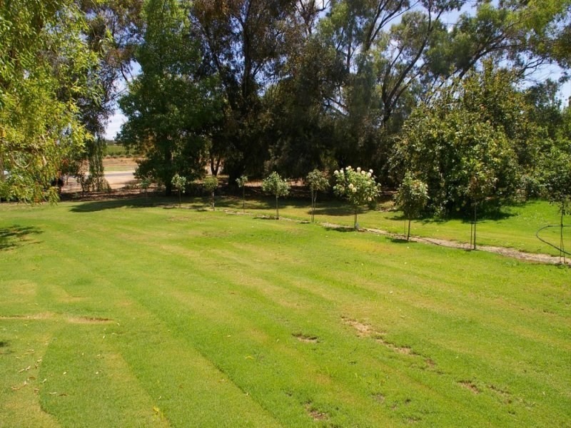 365 Chowilla Street, Renmark SA 5341