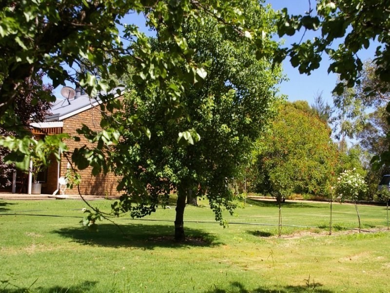 365 Chowilla Street, Renmark SA 5341