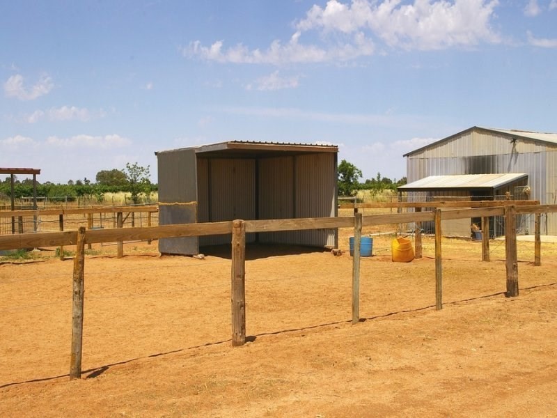 74 Arumpo Street, Renmark SA 5341