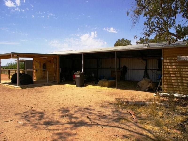 74 Arumpo Street, Renmark SA 5341