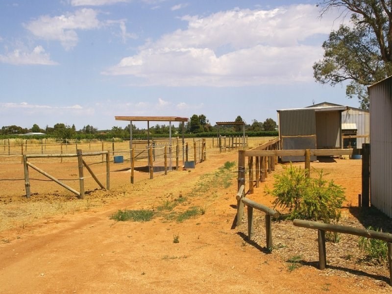 74 Arumpo Street, Renmark SA 5341