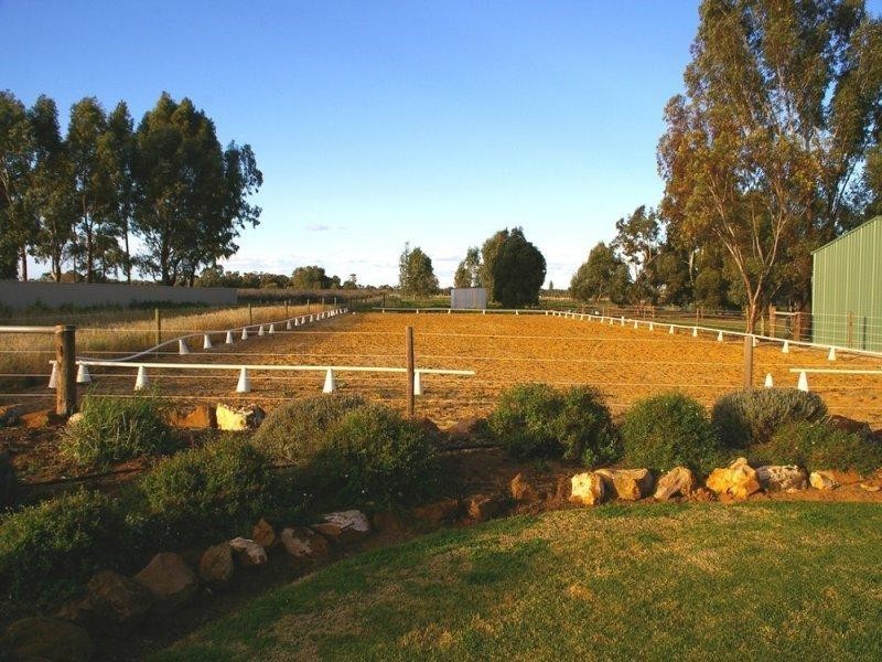 163 Twentysixth Street, Renmark SA 5341