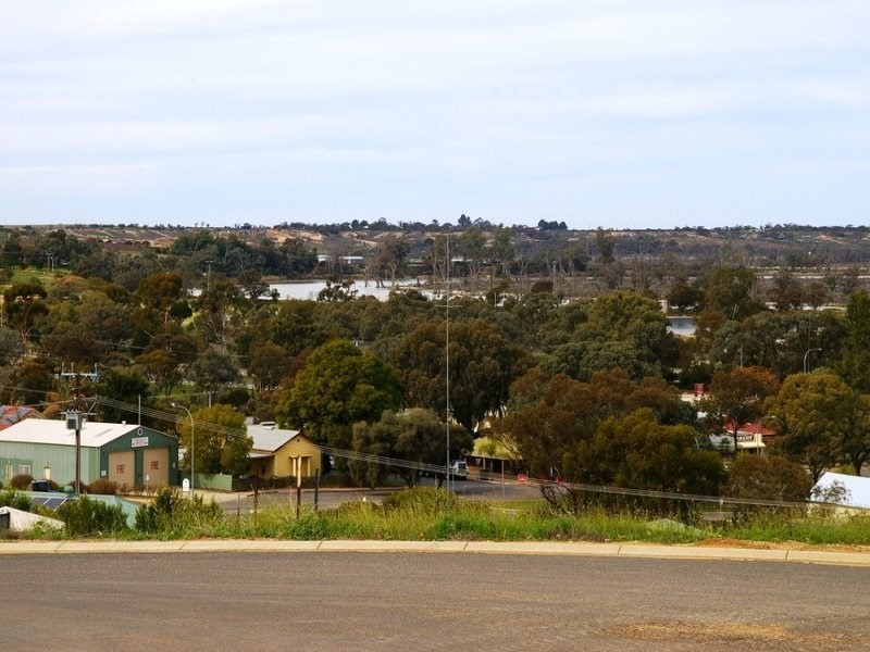 17 Panorama Court, Paringa SA 5340