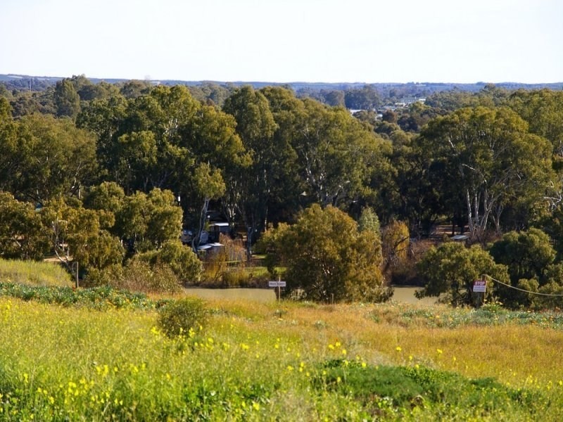 17 Panorama Court, Paringa SA 5340