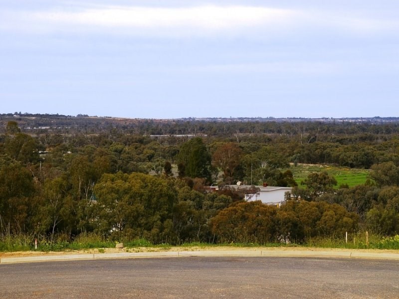 17 Panorama Court, Paringa SA 5340