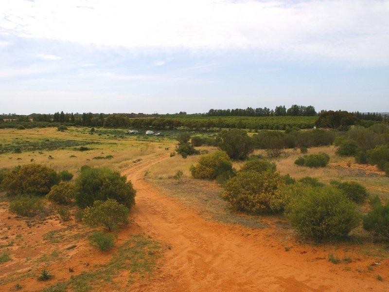 76 Cuttle Street, Renmark SA 5341