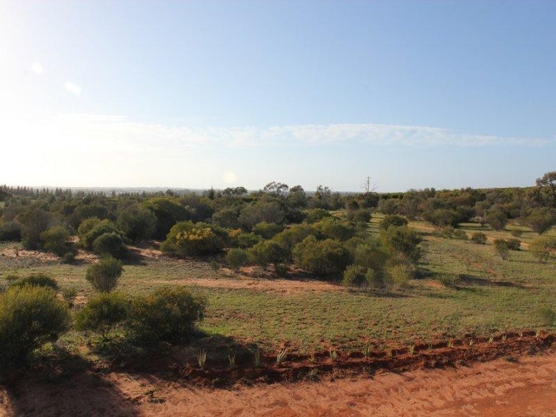 76 Cuttle Street, Renmark SA 5341