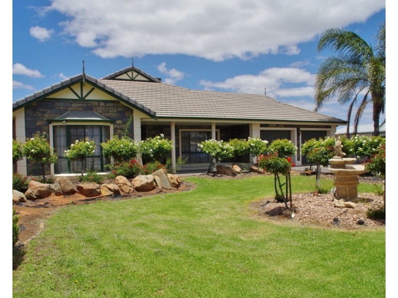237 Arumpo Street, Renmark SA 5341