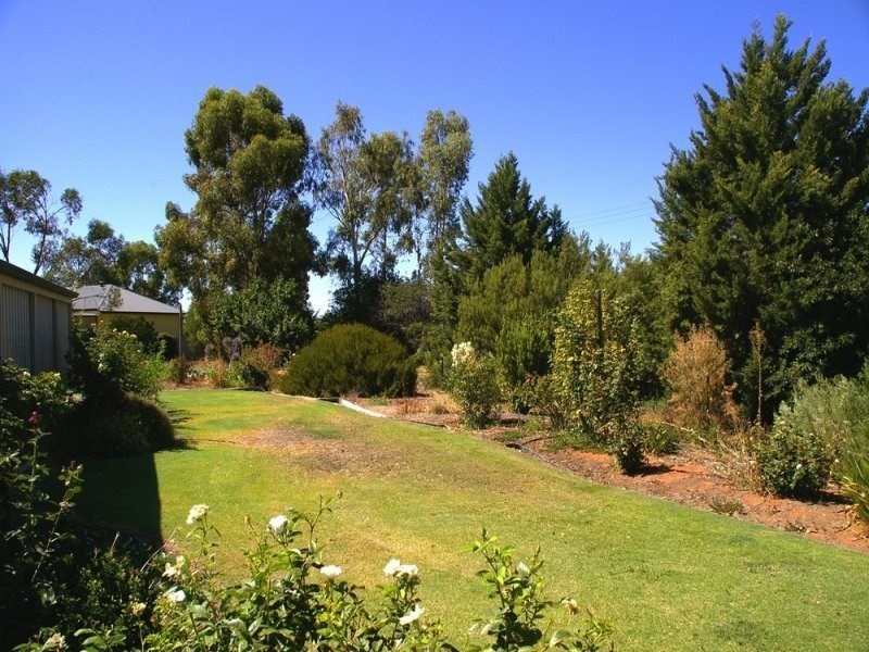 120 Seventh Street, Renmark SA 5341